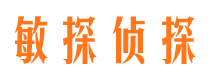 龙马潭敏探私家侦探公司